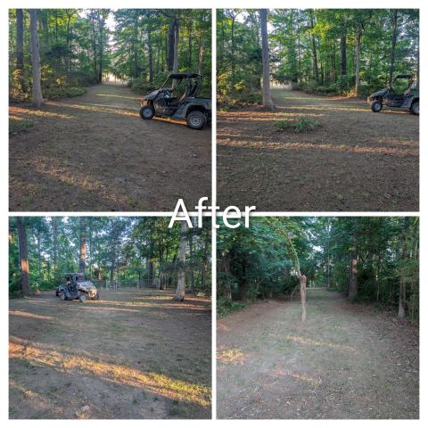 Wooded lot after brush clearing
